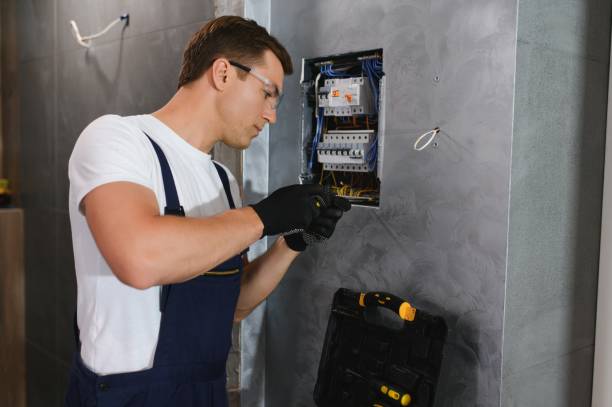 Best Electric Panel Repair  in Belleview, FL
