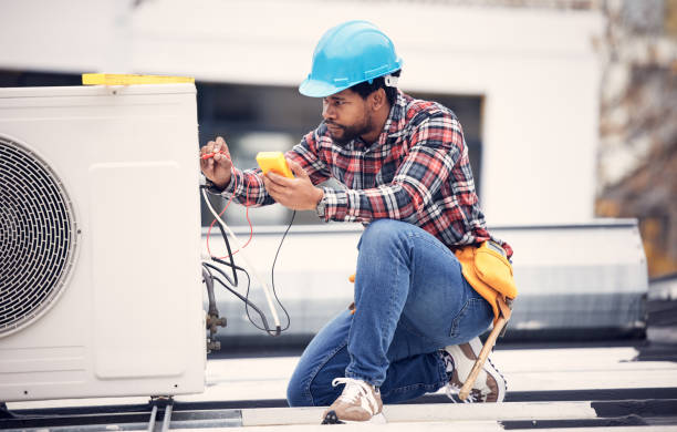 Best Local Electrician Companies  in Belleview, FL